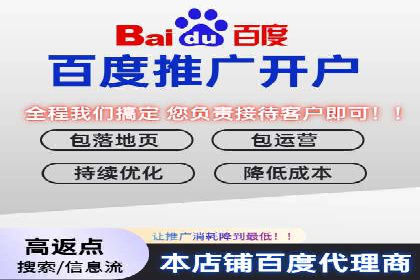 某品牌sem代运营机构合作案例：提升广告ROI的秘诀